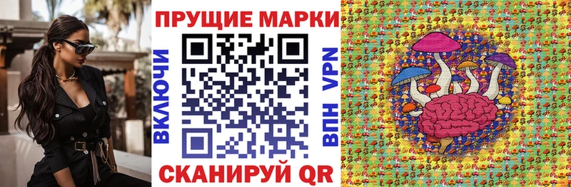 дарк нет состав Новомичуринск Марки 25I-NBOMe 1500мкг