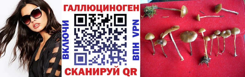 Галлюциногенные грибы мицелий  KRAKEN сайт  Новомичуринск 